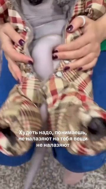 Знакомо, признайся