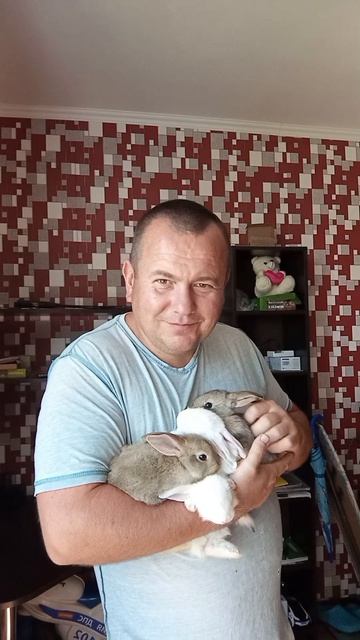 кролики