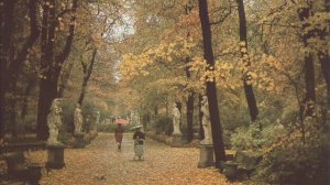 Группа Летний сад Летний сад
