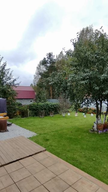 Доброе утро ☕