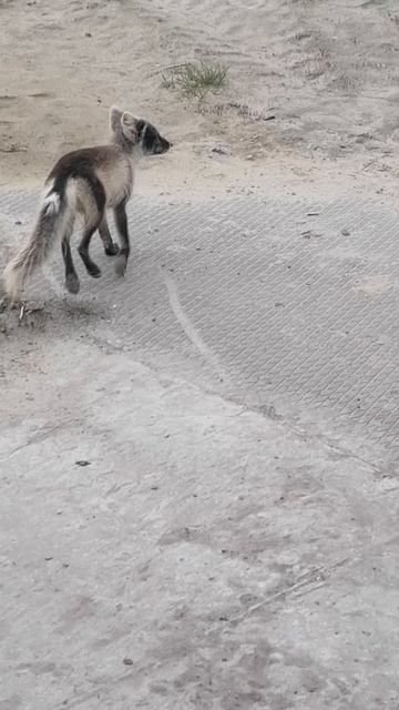 СТОЛОВАЯ ДВИЖУХА ОСЕНЬ