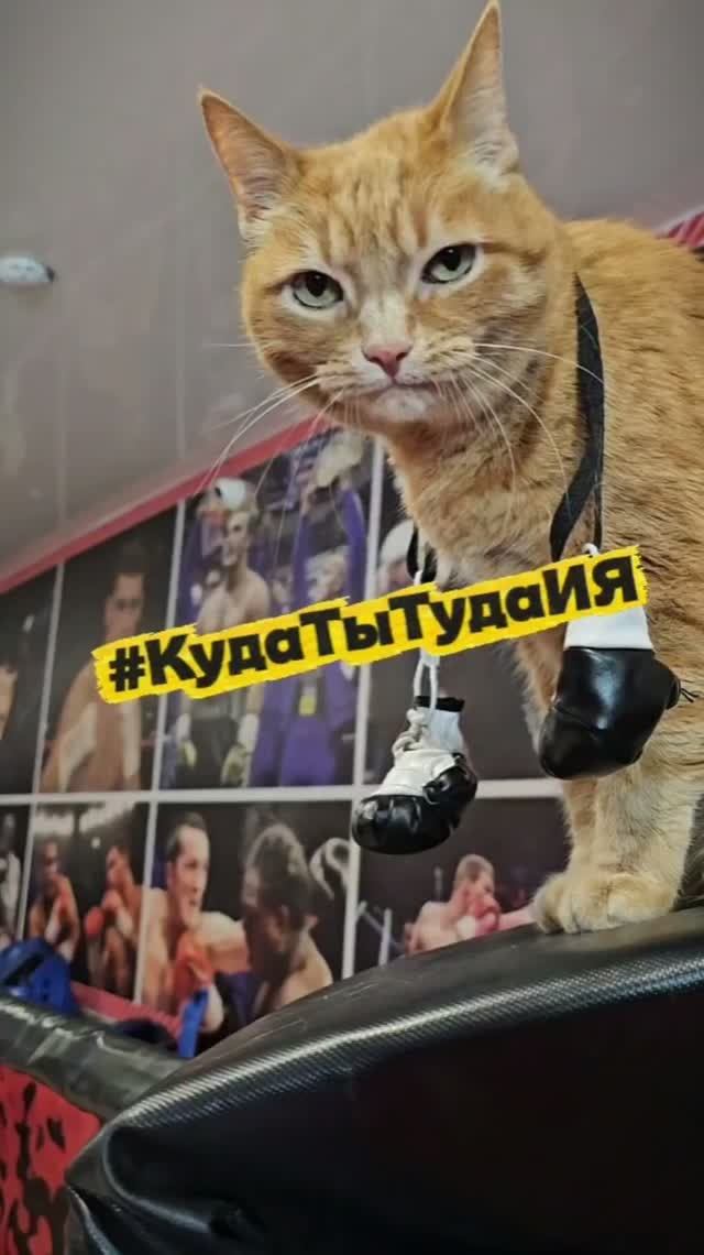 На одной волне в любом деле 🤜🤛
#КудаТыТудаИЯ