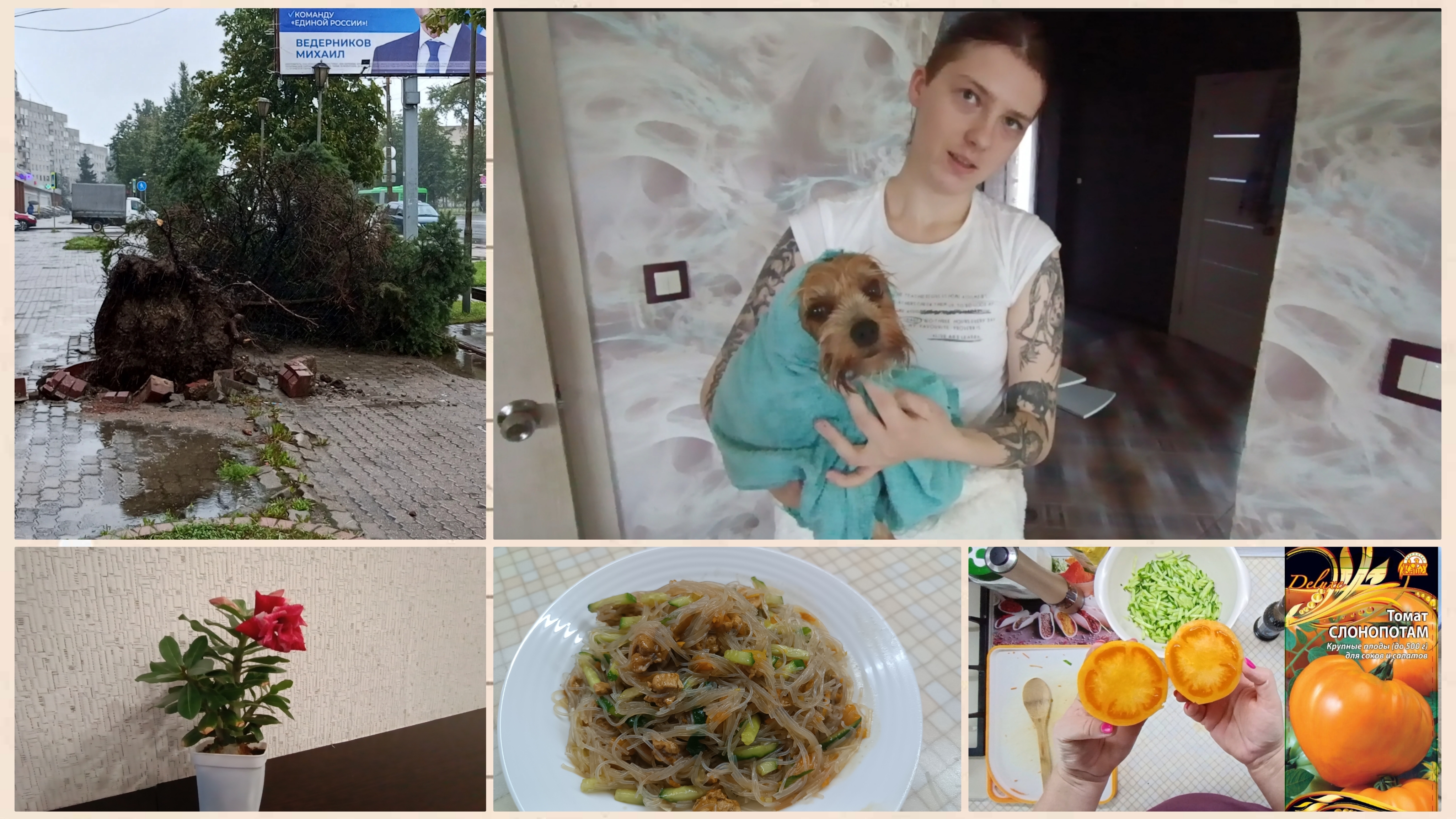 Ураган снова у нас🫣😳Салат с фунчозой.Адениум.Прибираю теплицы.