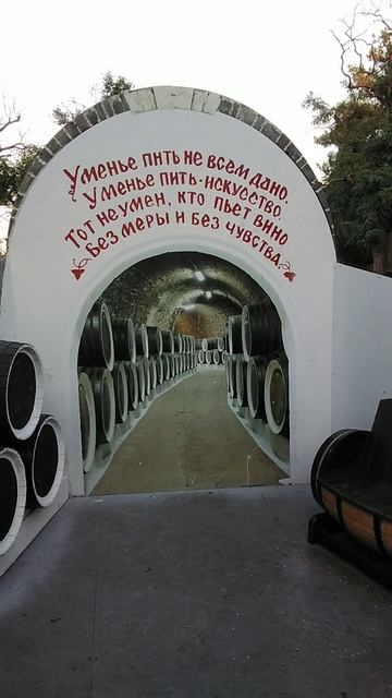 О вине 🍷