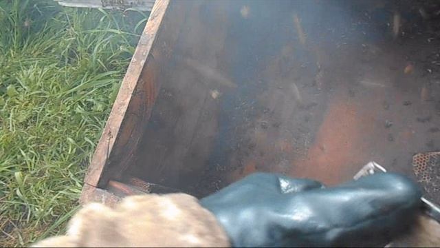Пересаживаю пойманный рой 11