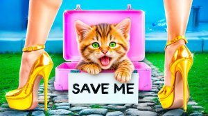 Мы построили тайную комнату для кота! Я спасла бездомного маленького котенка!