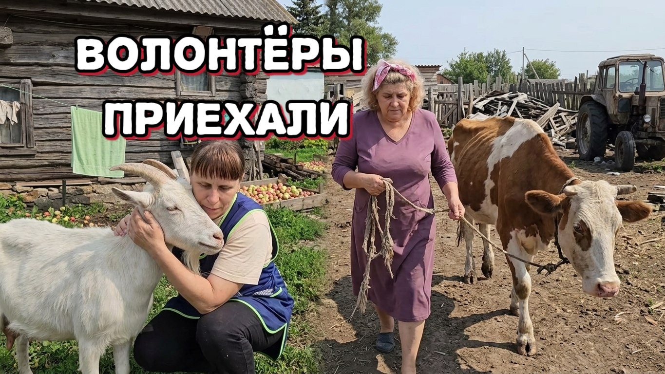 Домик церковный долго спит, потом ест, а коровы ждут