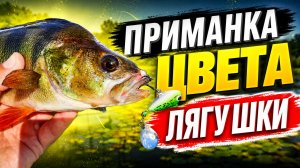 ПРИМАНКА ЦВЕТА ЛЯГУШКИ СПАСЛА РЫБАЛКУ. первый ремонт в лодке салют 480