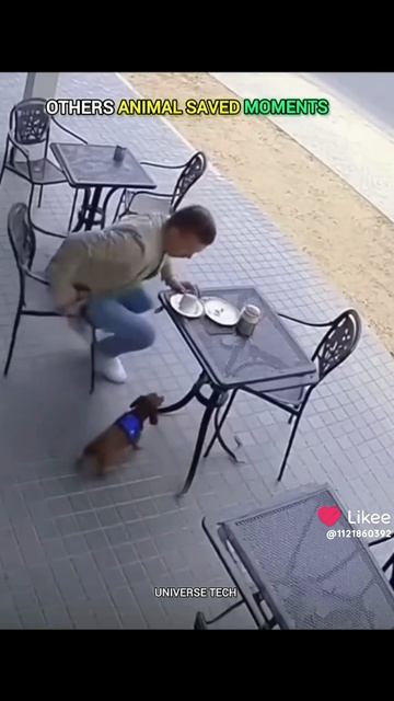 Лучшие спасатели❤