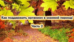 Прямой эфир «Как поддержать организм в межсезонье» продолжение