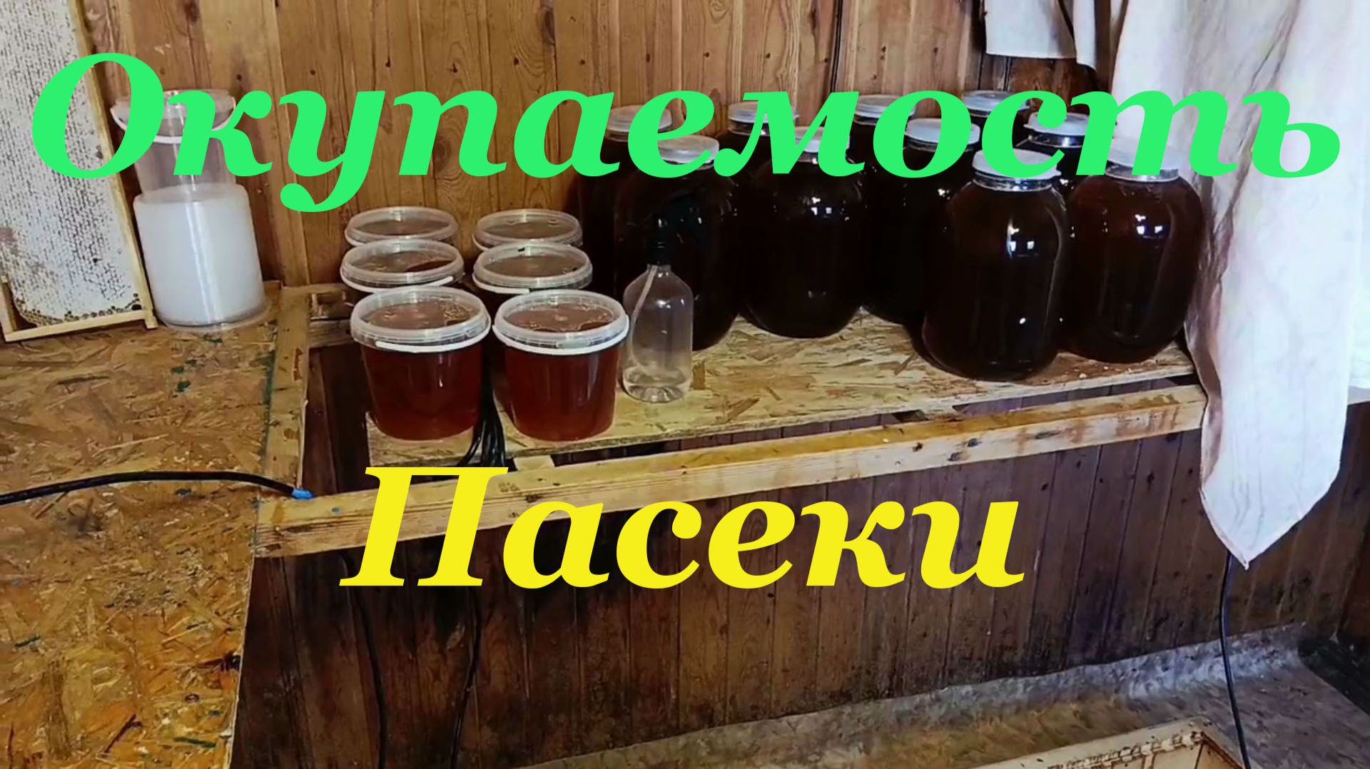Как окупить пасеку за один сезон