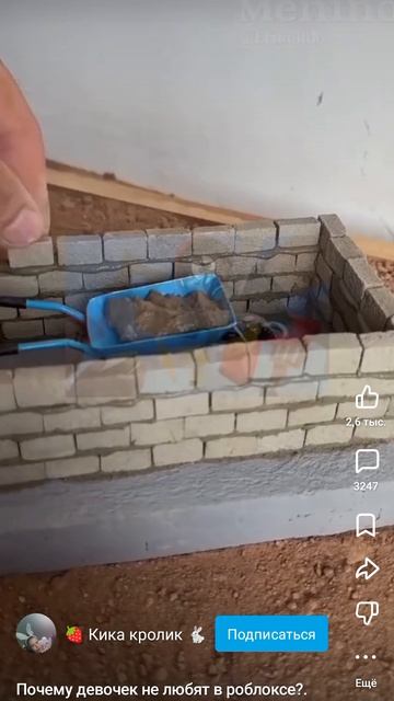 1000008734.mp4