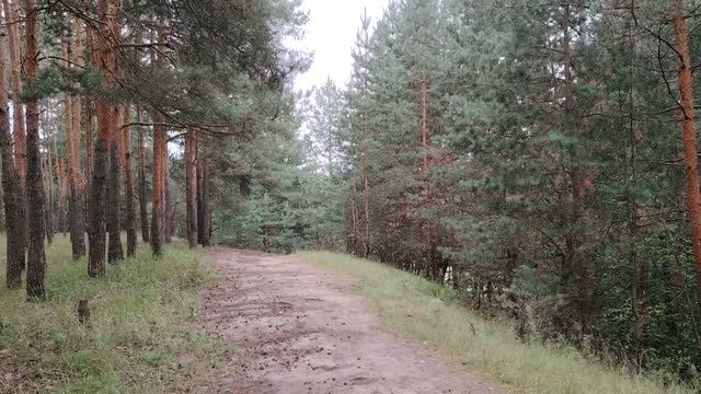 Негативщики и 