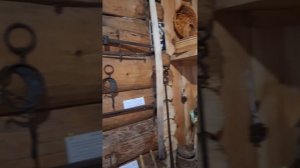 Светлая поляна в Максимихе