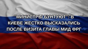 «Министры бунтуют»: в Киеве жестко высказались после визита главы МИД ФРГ