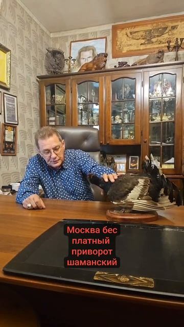 Москва бес платный приворот шаманский на Глухаря
