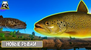 ВЫЛОВИЛ РЫБ С НОВЫМИ МОДЕЛЬКАМИ #рр4