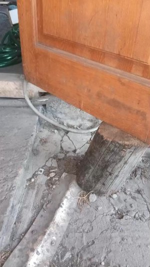 это последняя трансляция.