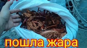 Медная копилка началась! Разбираю медные двигателя.