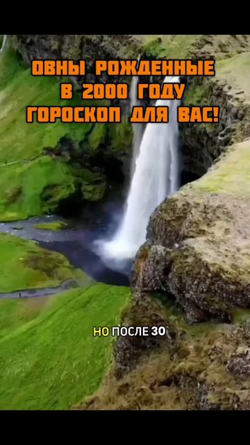 ОВНЫ РОЖДЕННЫЕ В 2000 ГОДУ.