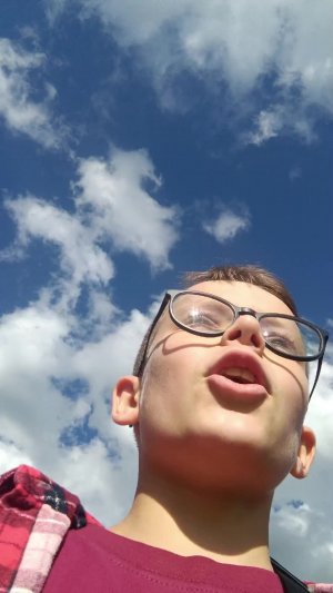 как сдохнуть в лесу