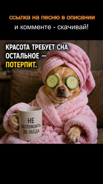 DKWX  - Разговоры в темноте   #юмор #прикол #смешно #мем#настроение #танцы#romanticmusic #dancemusic