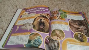реакция на мою книгу (Больше кошки, дикие животные Африки) часть 1