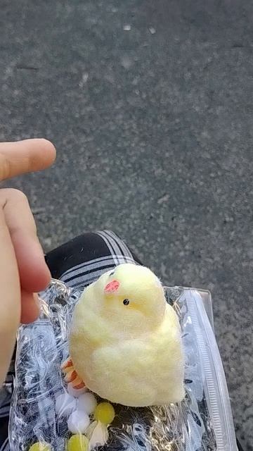 цыплёнок