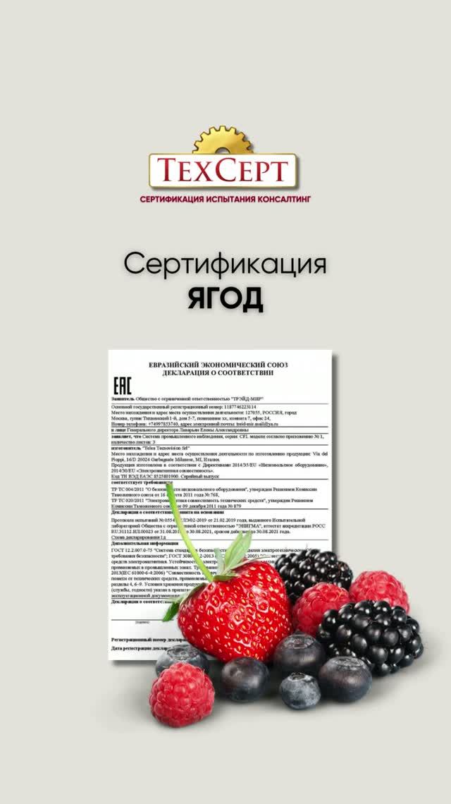 📄 Сертификация ягод #сертификат #декларация #соответствие