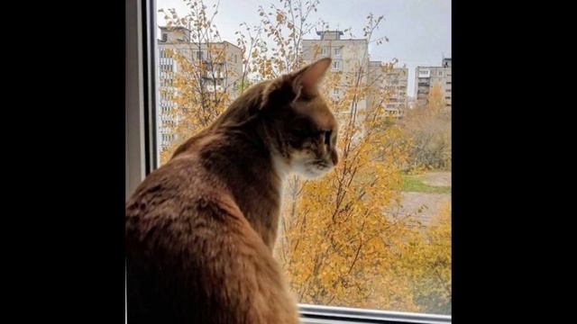Пройдёт. Всё будет, как и прежде. Электропоп - стихи Виктора Левашова, Ярославль.