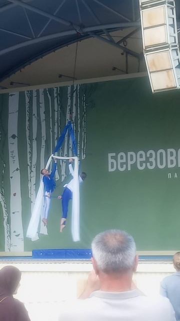 концерт в берёзовой роще