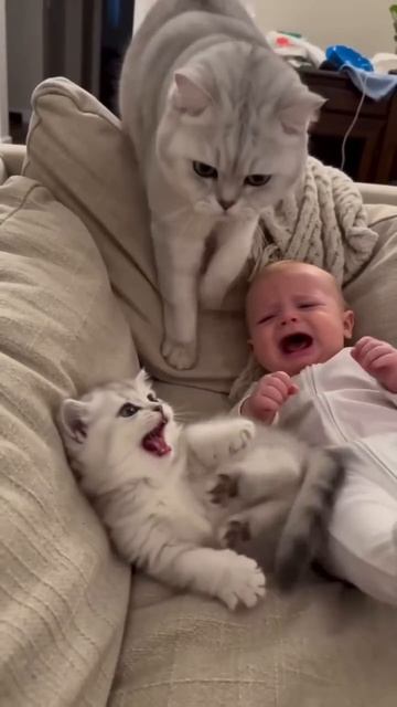 ребенок и котенок