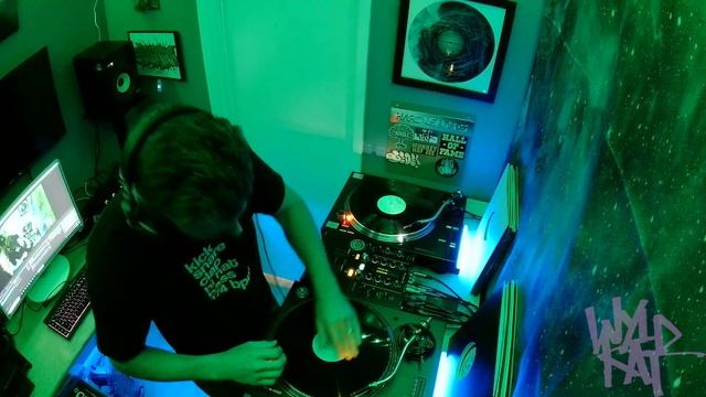 Jungle / Vinyl Mix / Wyldkat