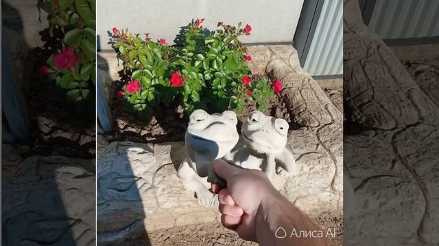 мой цветник Лягушки. Арт бетон