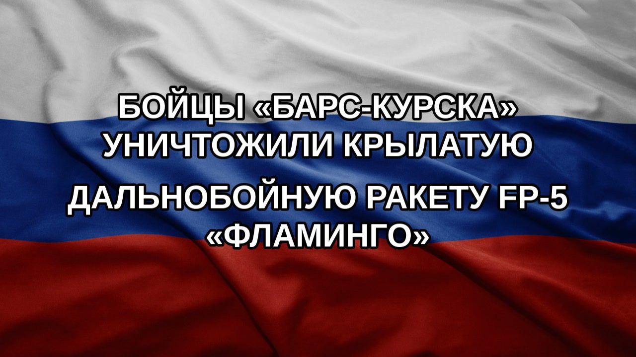 Бойцы БАРС-Курска уничтожили крылатую дальнобойную ракету FP-5 Фламинго