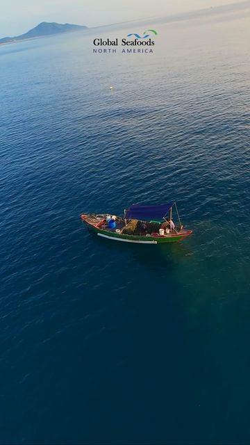 Маленькая рыбацкая лодка очищает бухту Лан Ха, Вьетнам | DJI Avata