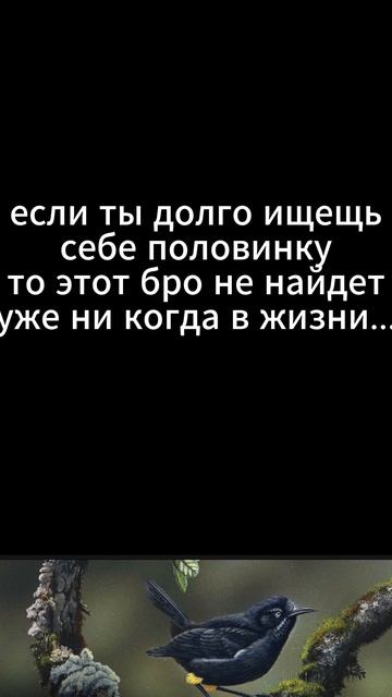 эхх