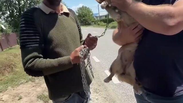 Одна встреча уберегла от целой жизни страданий