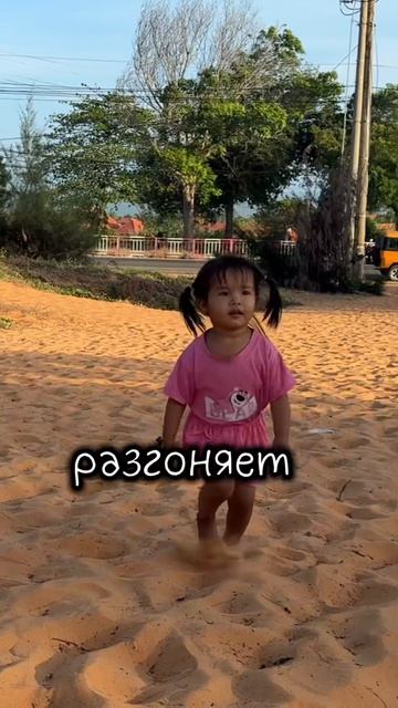 Все города Вьетнама за 2 минуты🇻🇳