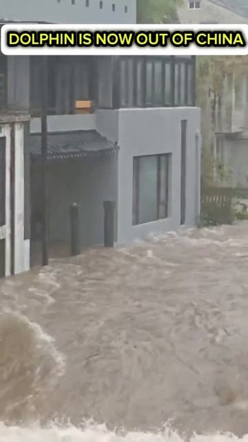 Наводнение в Китае после разрушительного тайфуна 