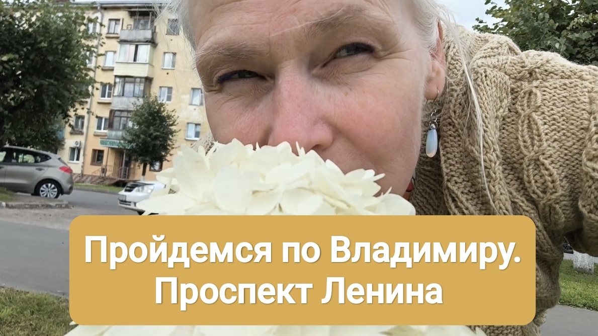 Город Владимир пр-кт Ленина болтаю с Вами