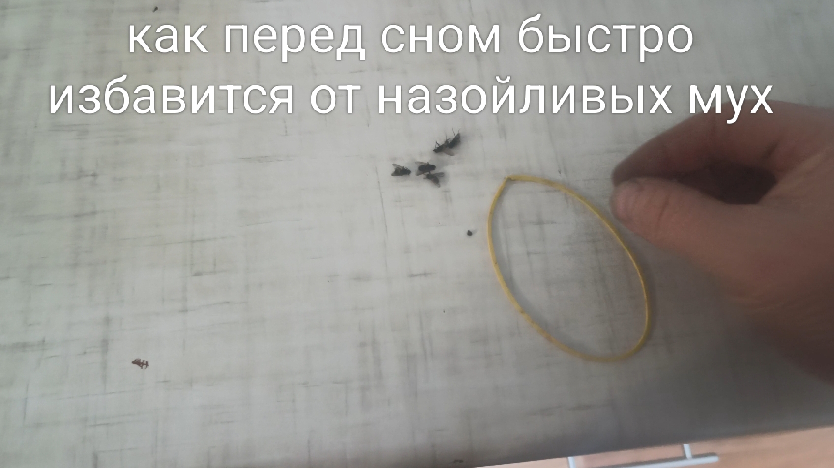 как перед сном быстро избавиться от назойливых мух