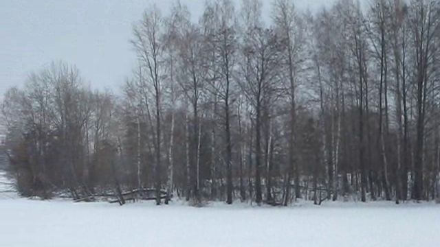 РФ. Воронеж Море