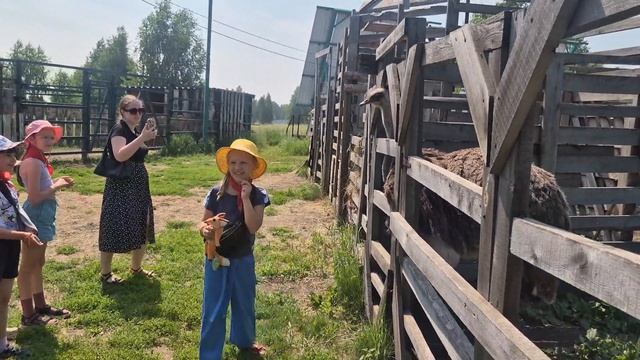 Страусиная ферма