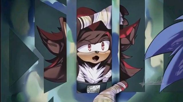 Sonic Came For Shadow To Free Him From Prison.