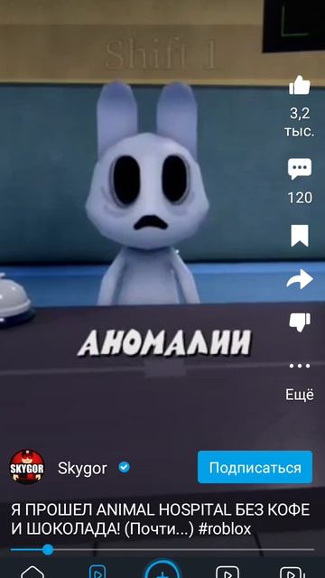 больница для животных