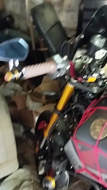 мот Strееd Scrambler