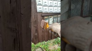 Супер дешёвая и красивая пропитка для дерева! Лессирующий состав с благородным оттенком! Лайфхак!