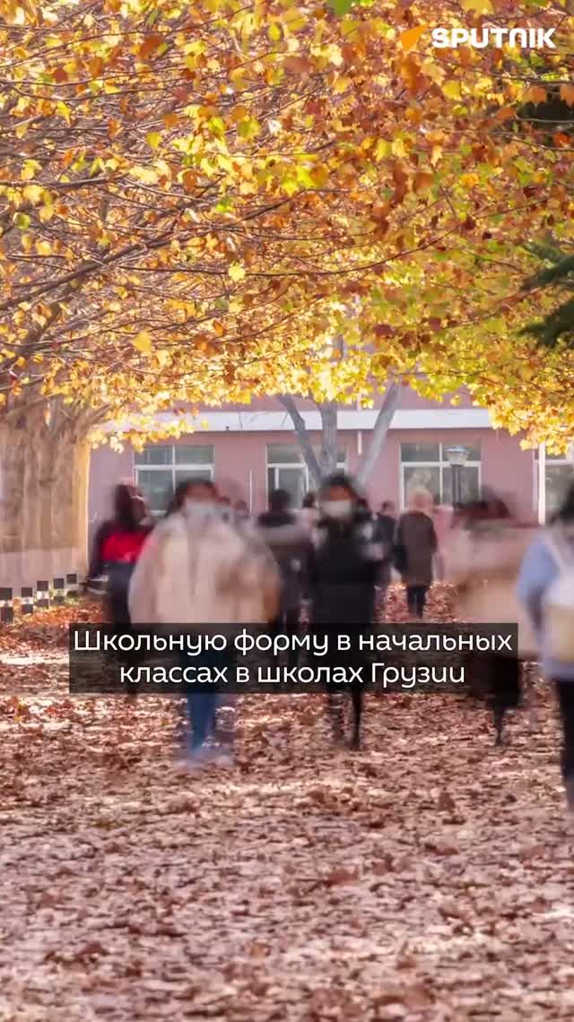 Школьную форму в Грузии обязаны будут носить все ученики