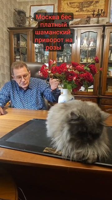Москва бес платный шаманский приворот на Розы
